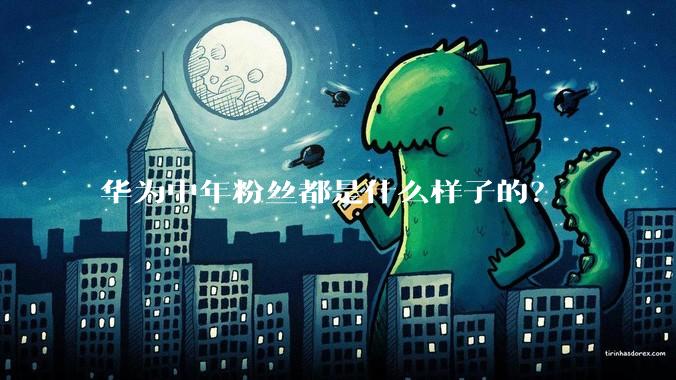 华为中年粉丝都是什么样子的？